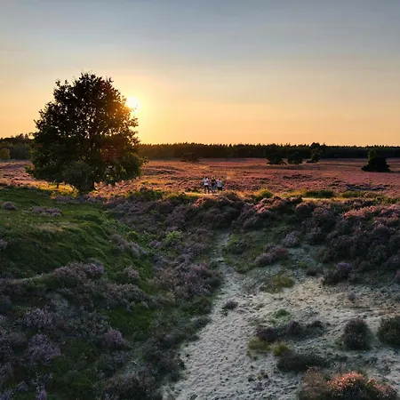 Knus I Tiny House Op De Veluwe 伊皮