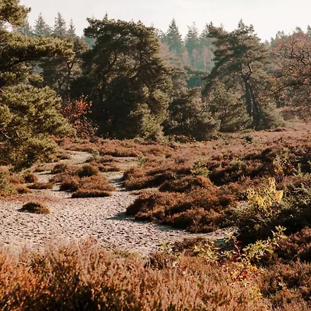 Knus I Tiny House Op De Veluwe *
