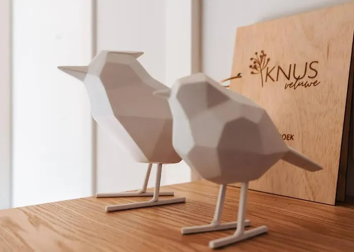 Knus I Tiny House Op De Veluwe Semesterbostad